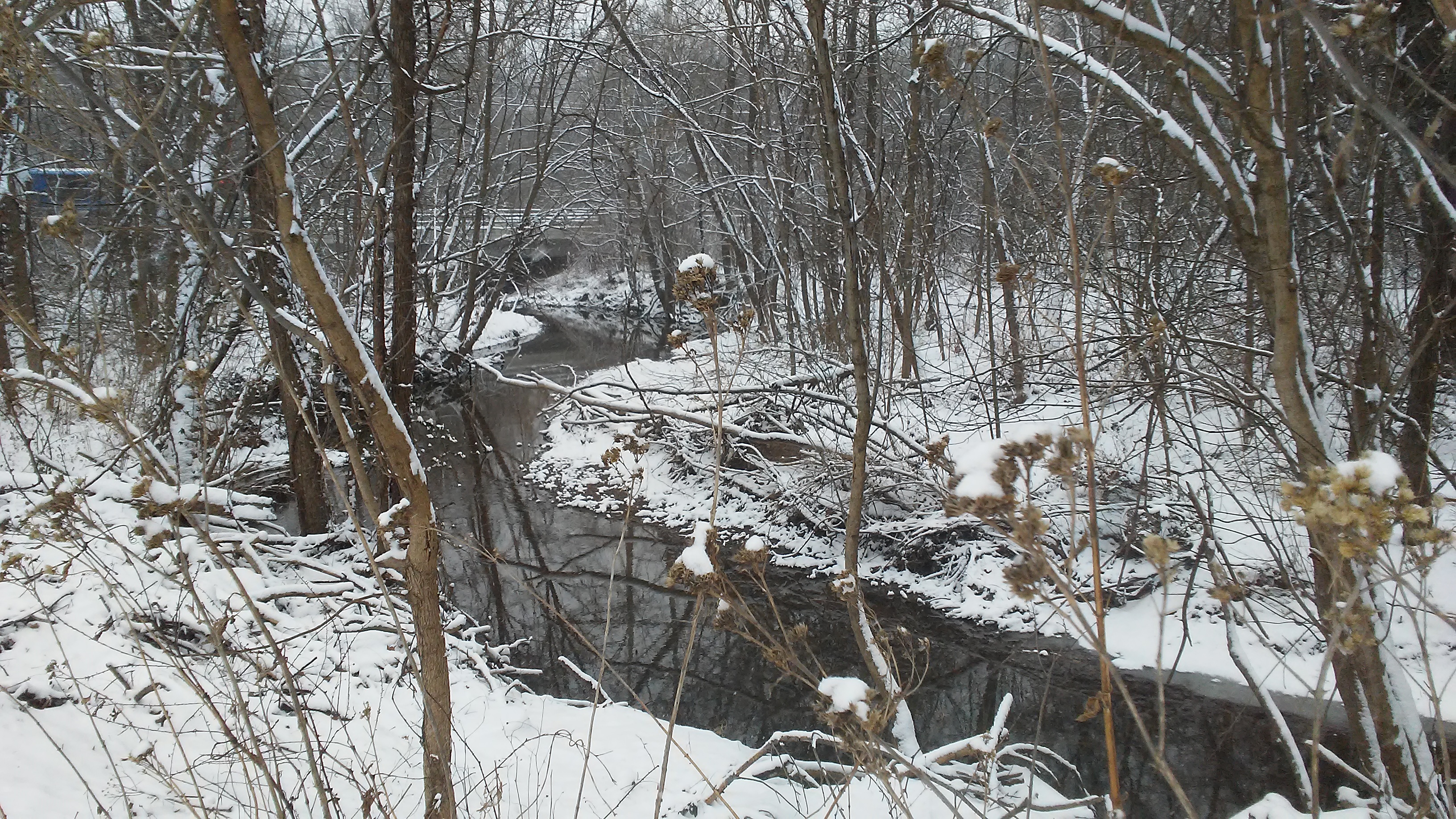 20180117_133610