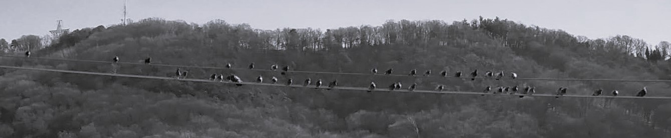 IMG_20230120_125732266_HDR-d