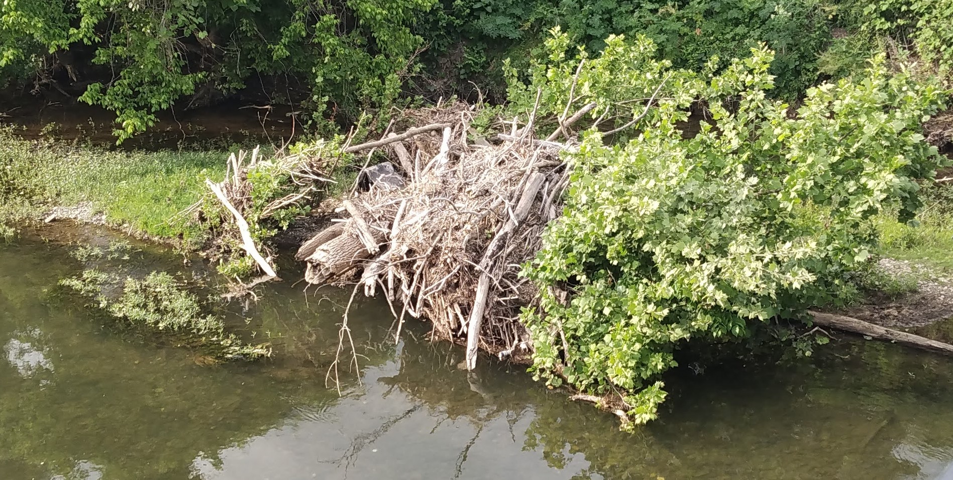 IMG_20230513_181551697