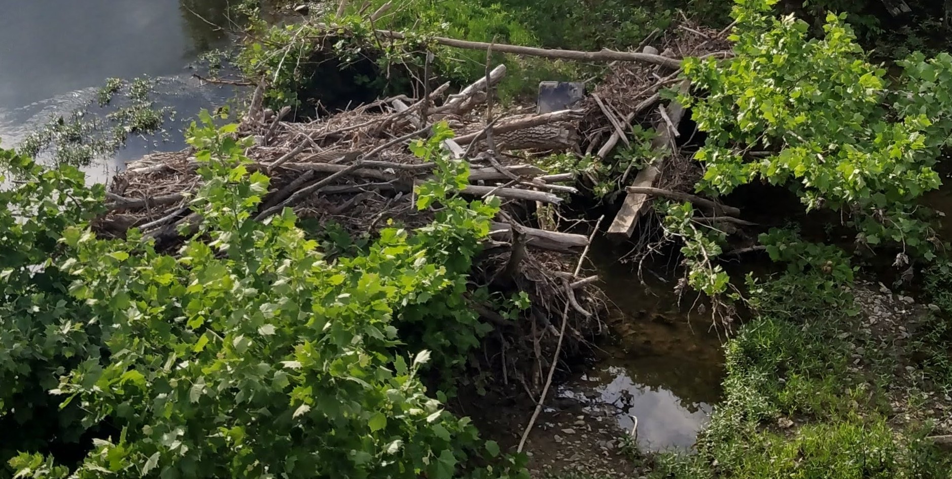 IMG_20230513_181637429_HDR-b