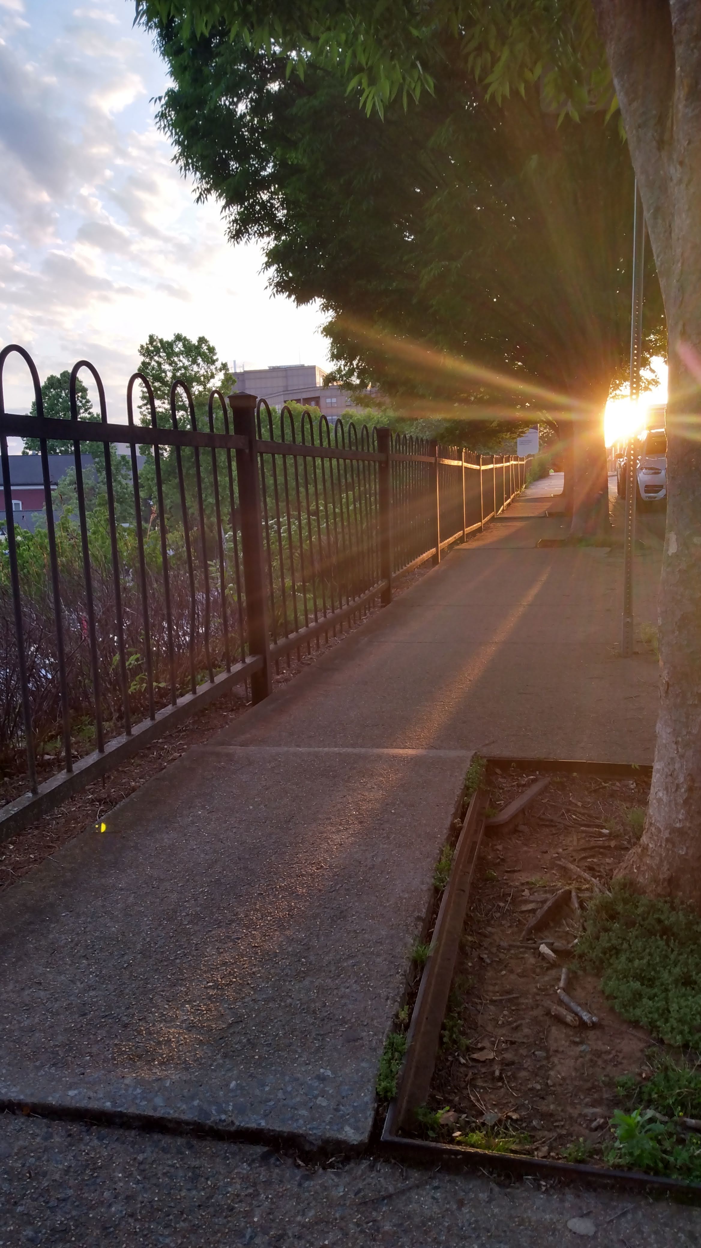 IMG_20230517_194653473_HDR