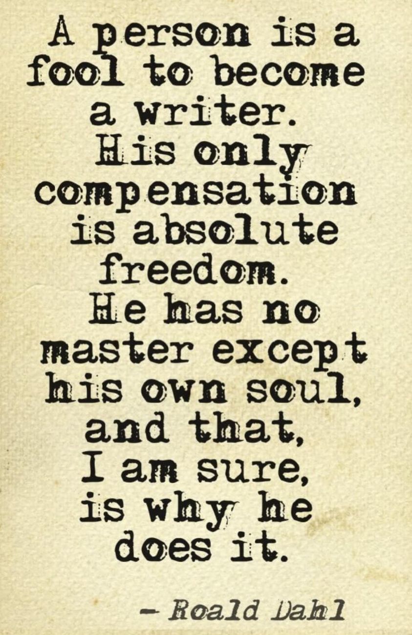 351111587_918119479277019_1002899209171093550_n