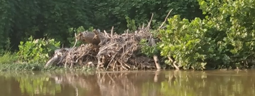 IMG_20230716_182919458_HDR