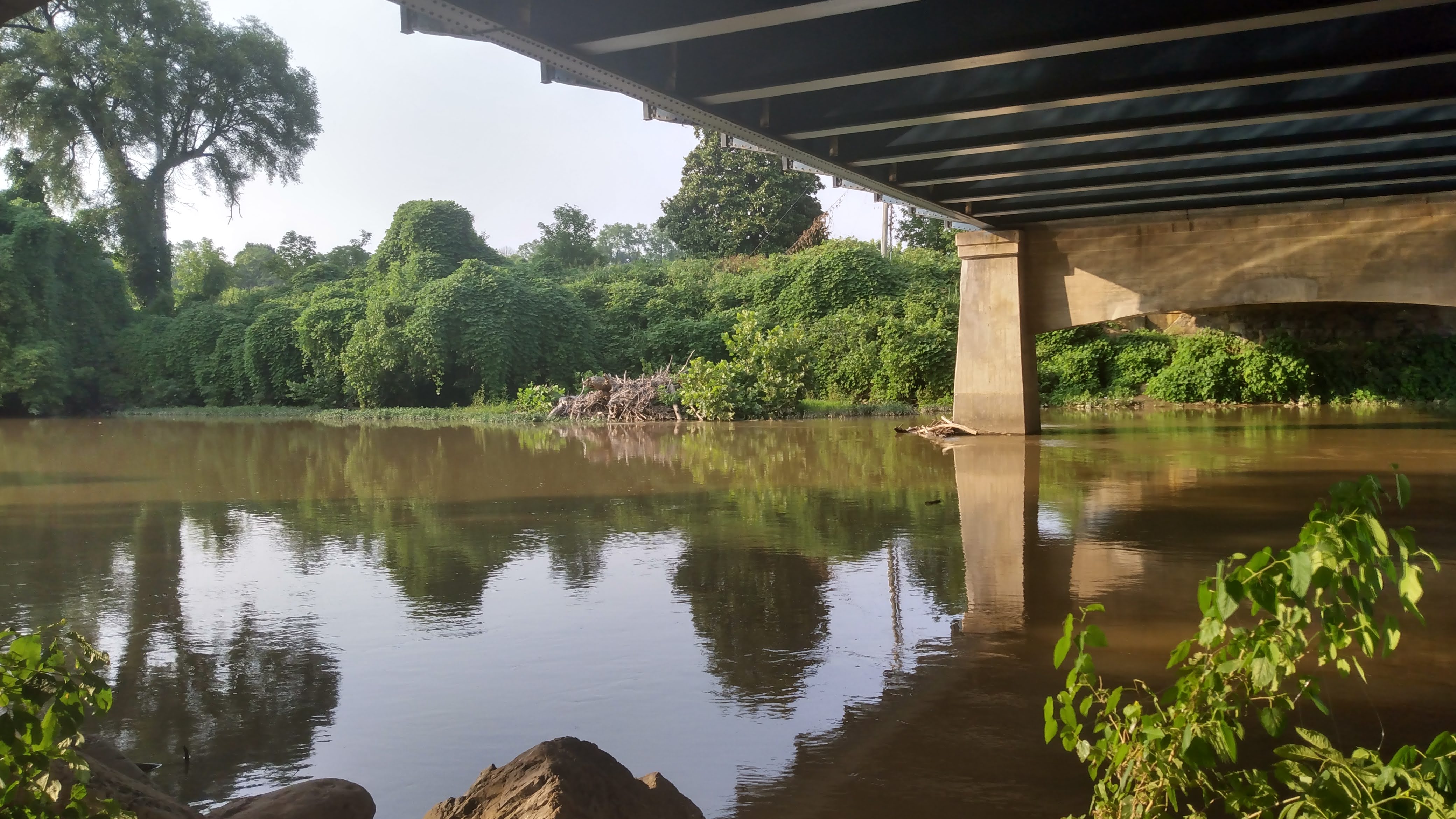 IMG_20230716_182920843_HDR