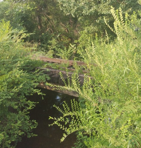 IMG_20230716_183452057