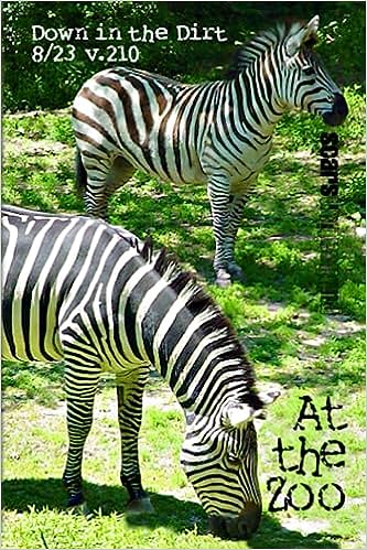 51OQVrsF8QL._SX331_BO1,204,203,200_