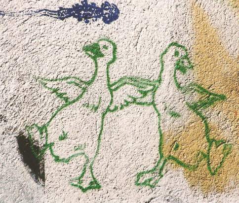 Geese_graffiti
