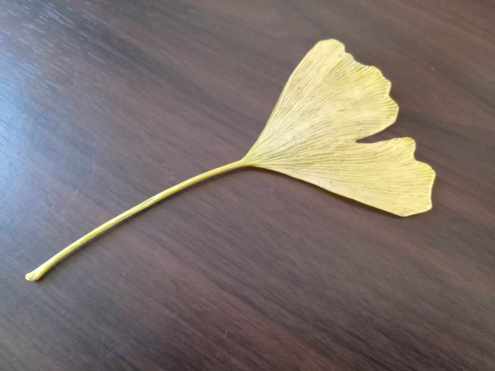 368391524_1965744080486589_8677031838905778482_n - Copy