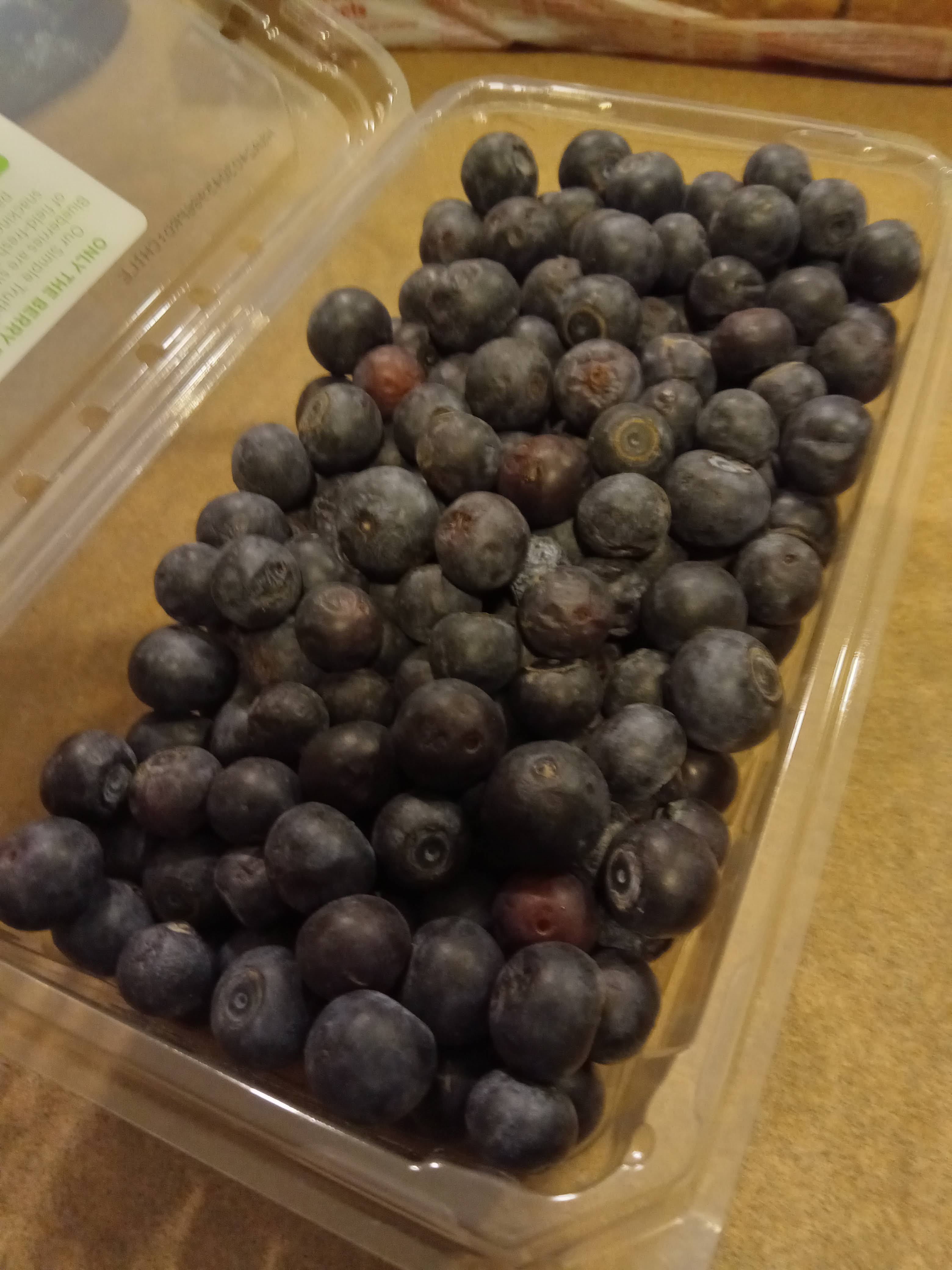 20240312_012516 - Copy - Copy