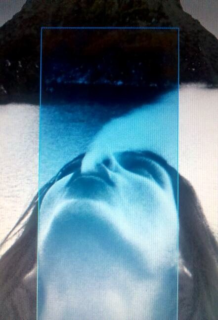 Mobile_desktop_collage_of_original_photo_by_Adriana_Petit