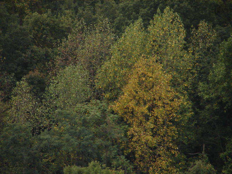 ???????????????????????????????????????????????????