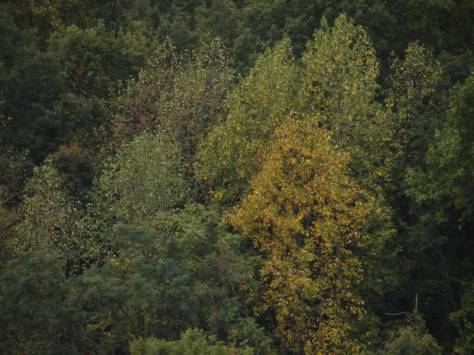 ???????????????????????????????????????????????????